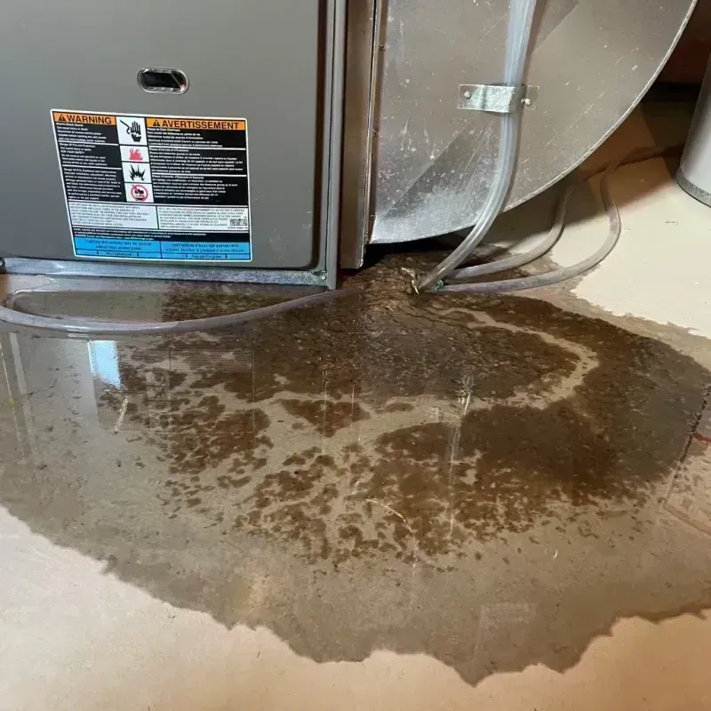 Appliance Leak Cleanup in Allen County, KY